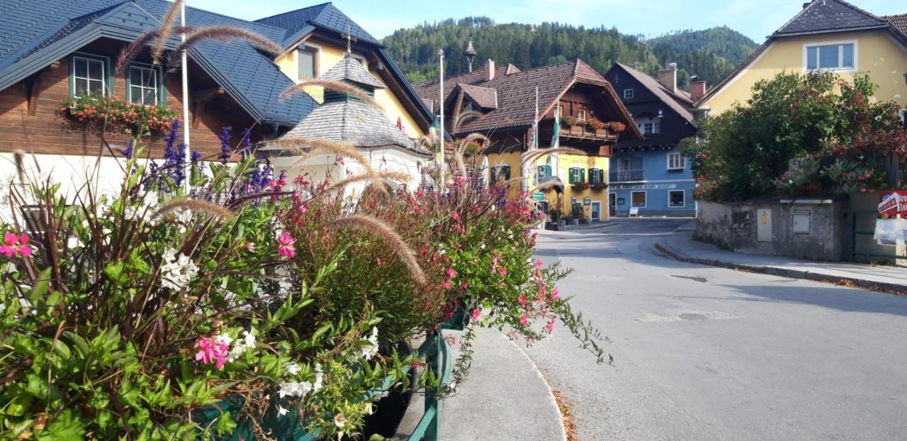 Haus Danklmaier Villa Oblarn Екстериор снимка
